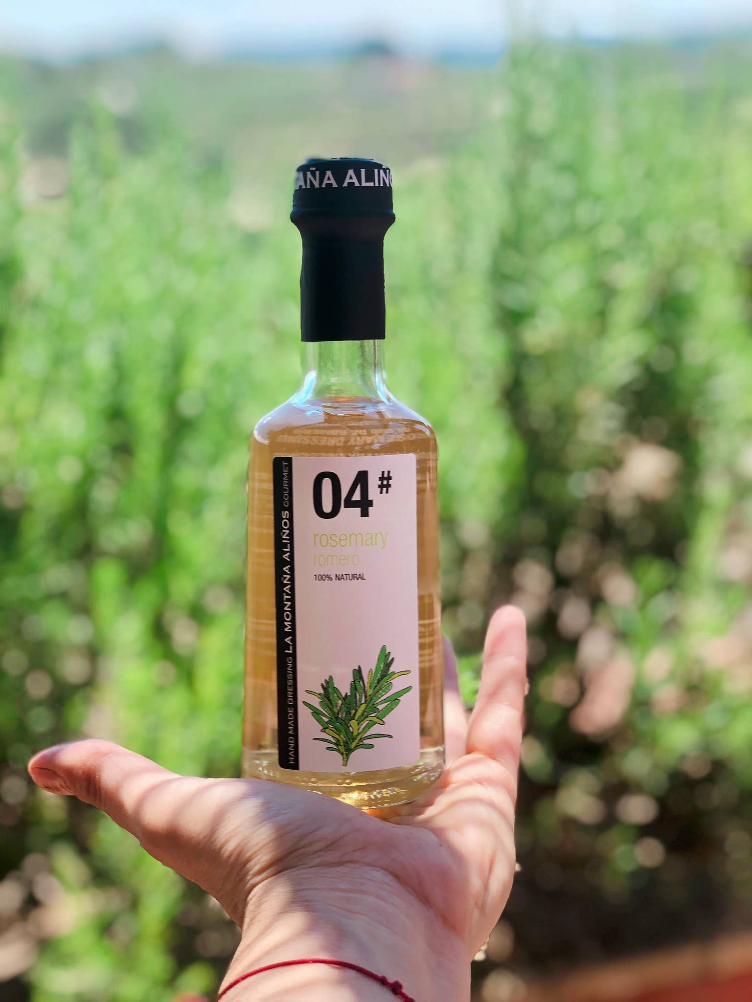 REMOVED BRAND - Wholesale Salad Dressing - 04# ROSEMARY DRESSING /ROSEMARY DRESSING2