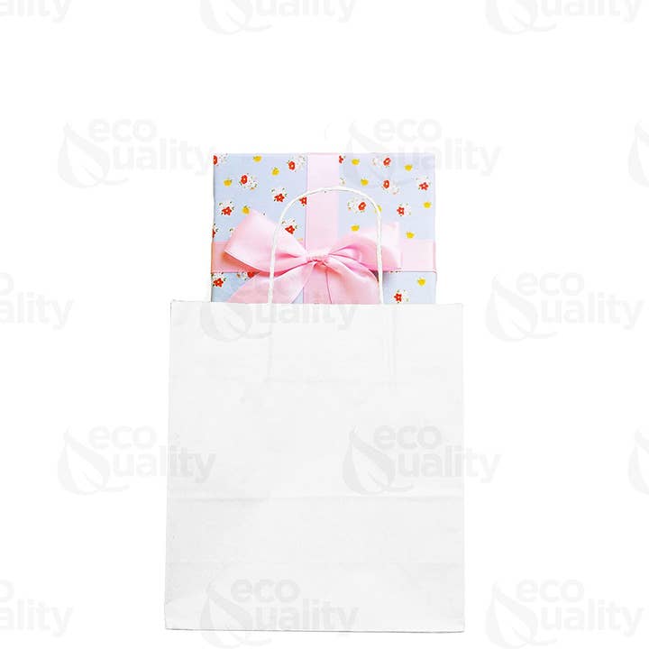 EcoQuality - Wholesale Gift Bag - EcoQuality 10x5x13 Small White Kraft Paper Gift Bags