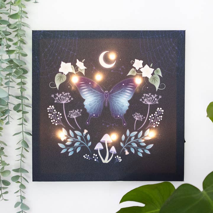 Midnight Moth LED Light Up Canvas Plaque for wholesale by Something Different Wholesale