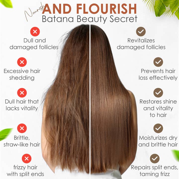 Flavor Shea - Wholesale Hair Oil - Hair Growth Oil - Batana Oil + Shea Nilotica Butter 2