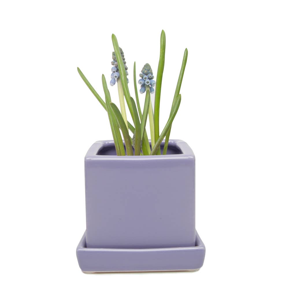 Chive - Wholesale Plant Pot - Cube Pot With Saucer And Drainage Hole 60 Plus Colors15
