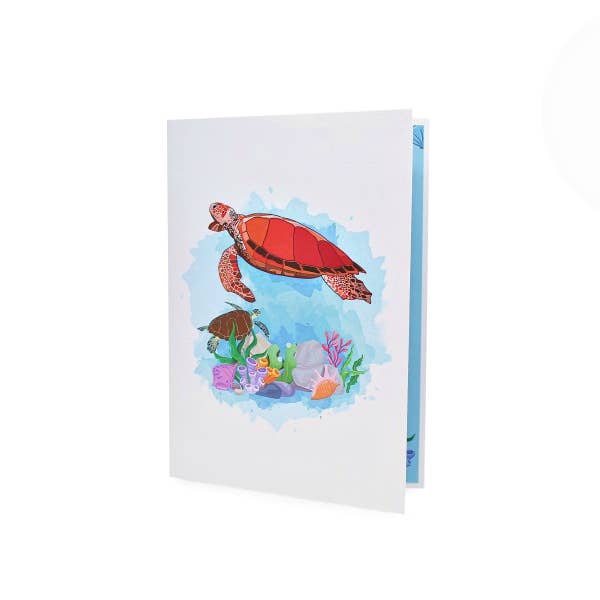 Wonder Paper Art - Wholesale Everyday Greeting Card - Turtle Pop Up Card3