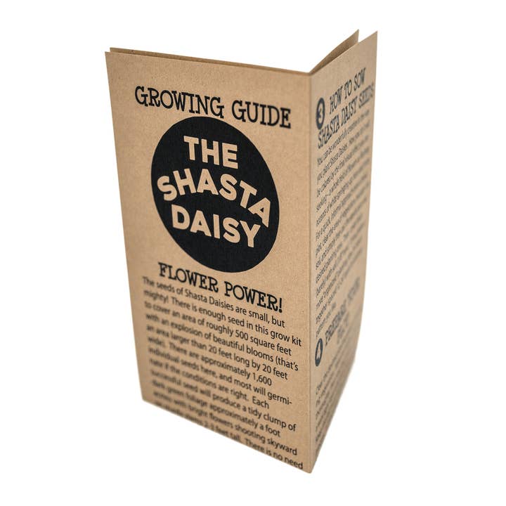 The Jonsteen Company - Wholesale Plant Seeds - Shasta Daisy | Flower Seed Grow Kit