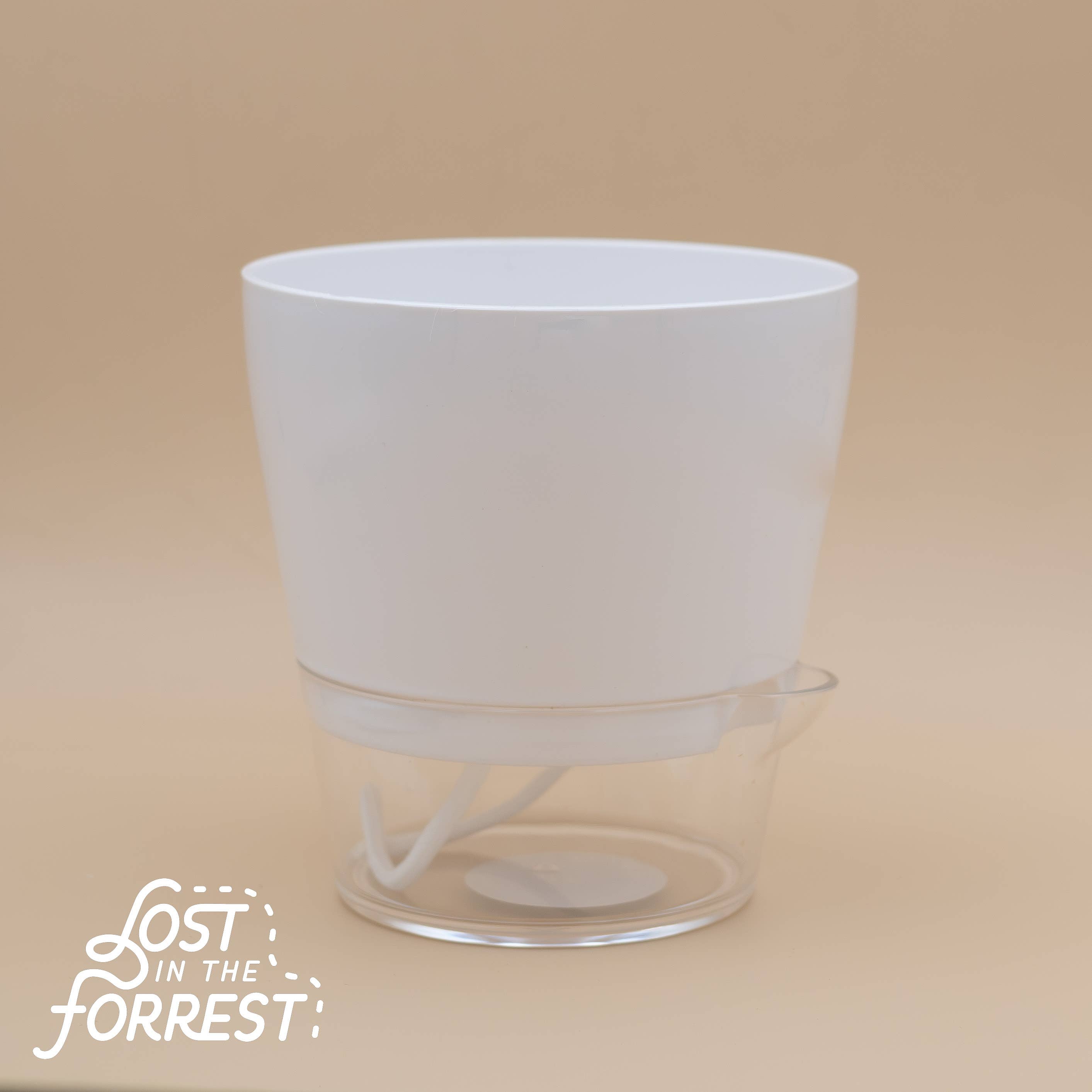 Lost in the Forrest - Vendita all'ingrosso Vasi per piante - Fioriera autoirrigante Padua 6"1