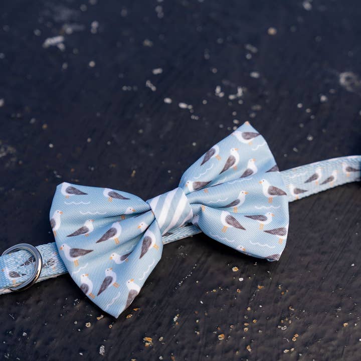 Zeebevogel Vlinderdas voor wholesale door Covey Collection