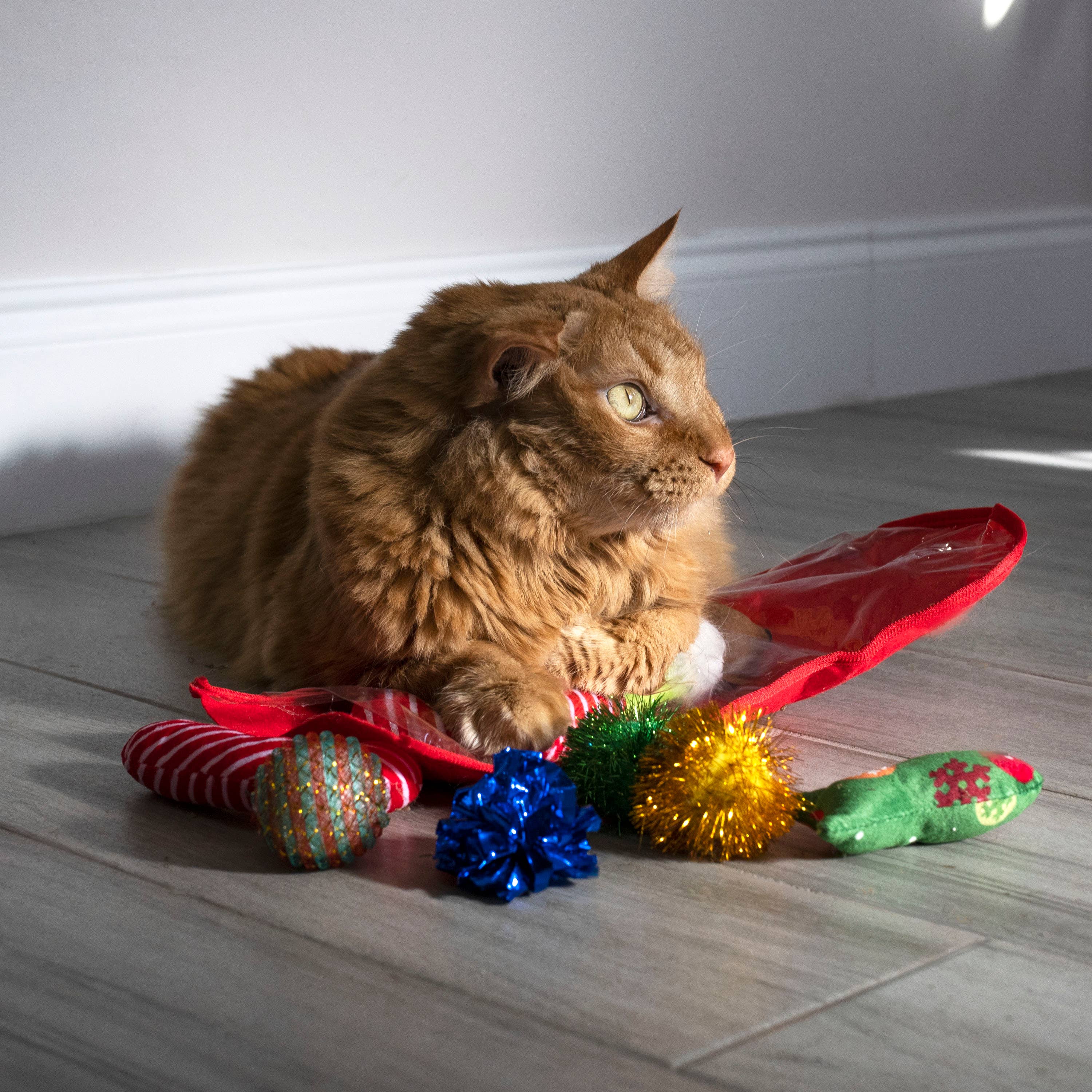 Midlee Designs – Engroshandel Legetøjssæt - Kat – Midlee Christmas Strømpe Cat Toy Gavesæt (14 Legetøj)11