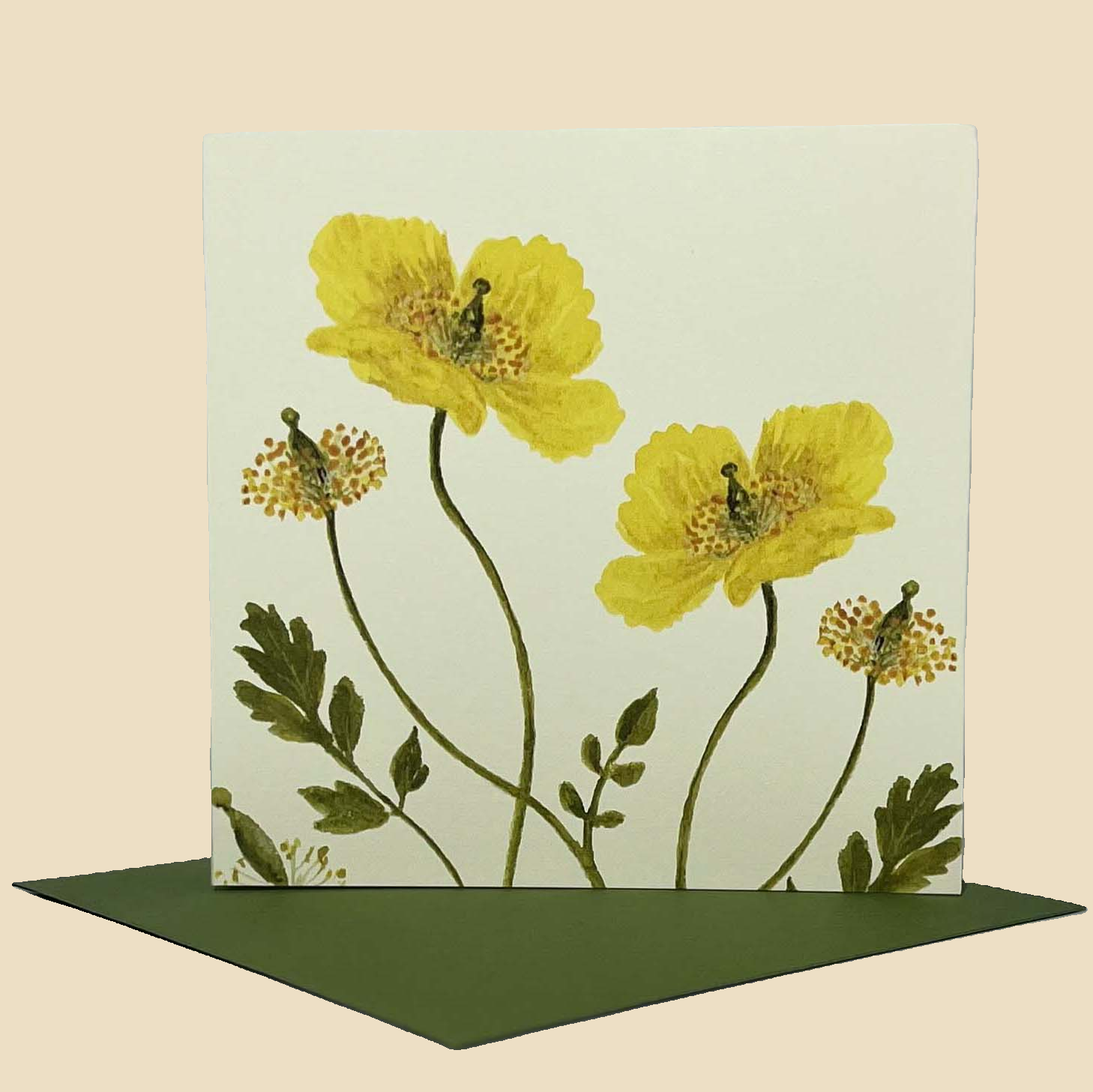 Sophia Davenport - Wholesale Everyday Greeting Card - Wildflower Greeting Cards and Notelets50