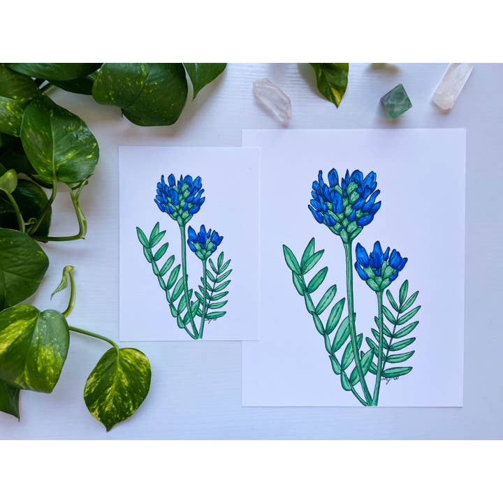 Impressão de arte botânica de arquivo - Milkvetch Flower por atacado de AEJ.CREATE