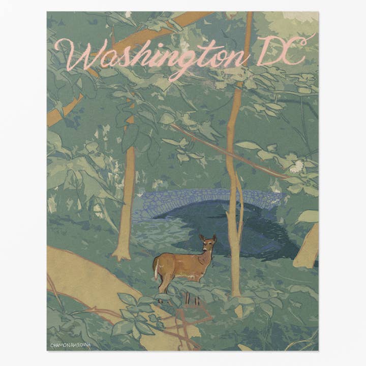 The Culture Curious - Wholesale Postcard - Rock Creek Park postcard