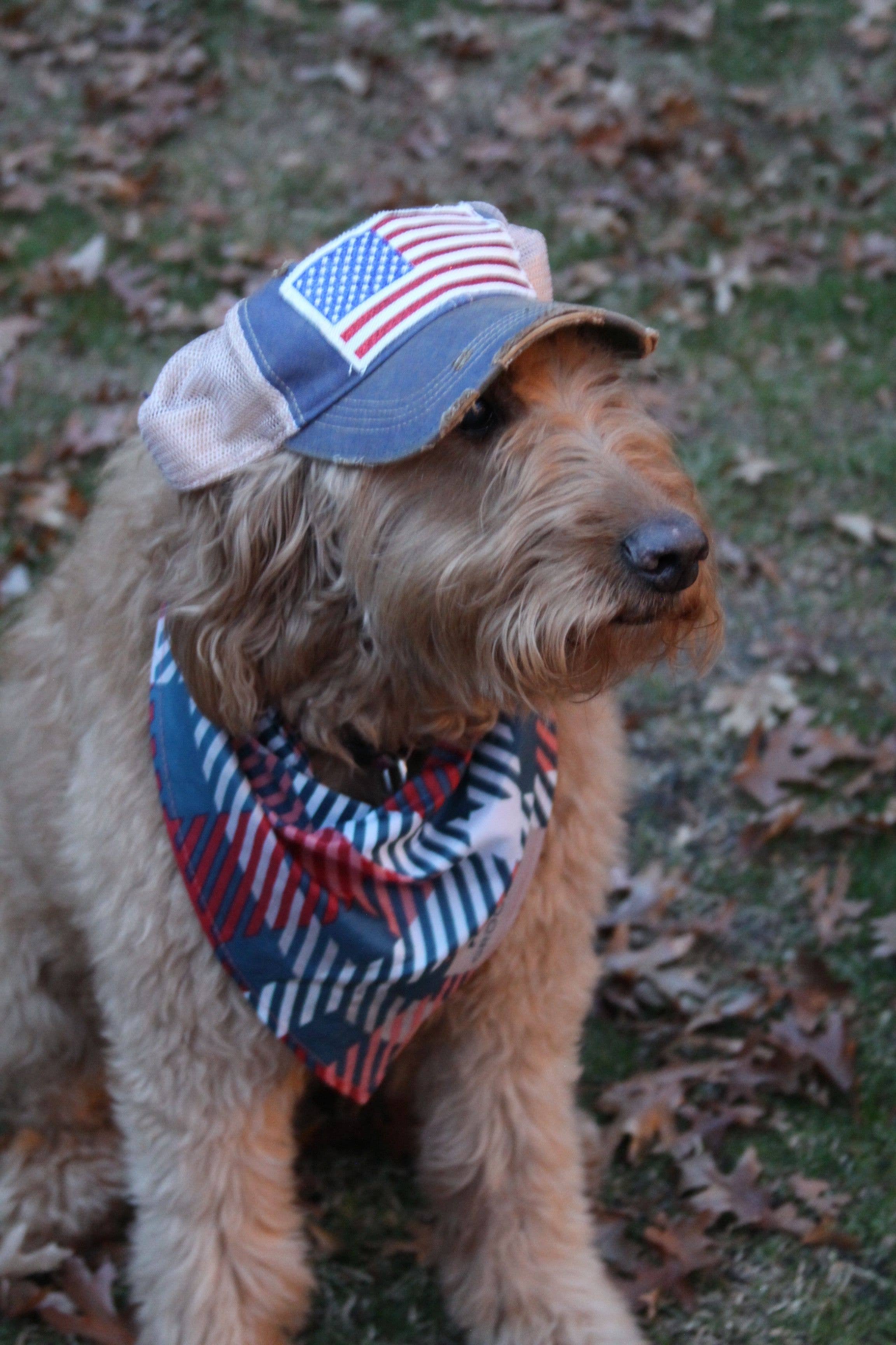 BohoGroove - Wholesale Baseball Cap - Women's - Star Hat, Red, White and Blue Hat3