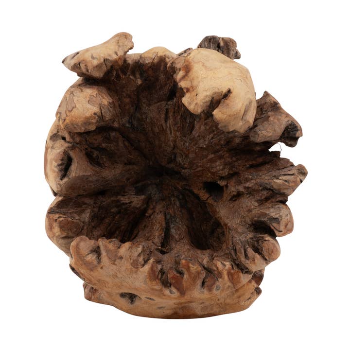 DECORACIÓN DE MADERA PARÁSITO para venta al por mayor de Benjamin International