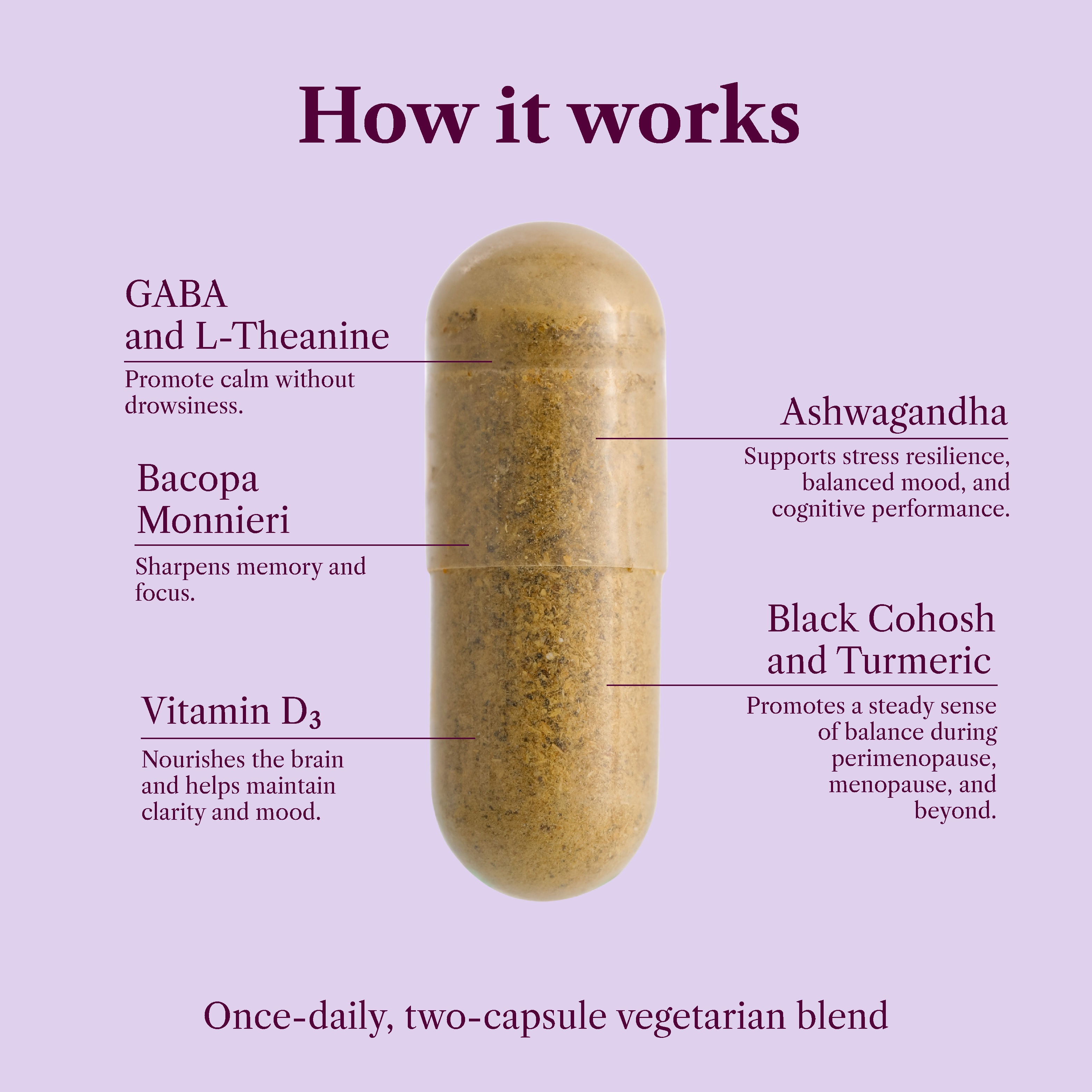 SEASON34 - Wholesale Oral Supplement/Vitamin - Menopause Mood & Neuro Support – Brain Fog & Memory3