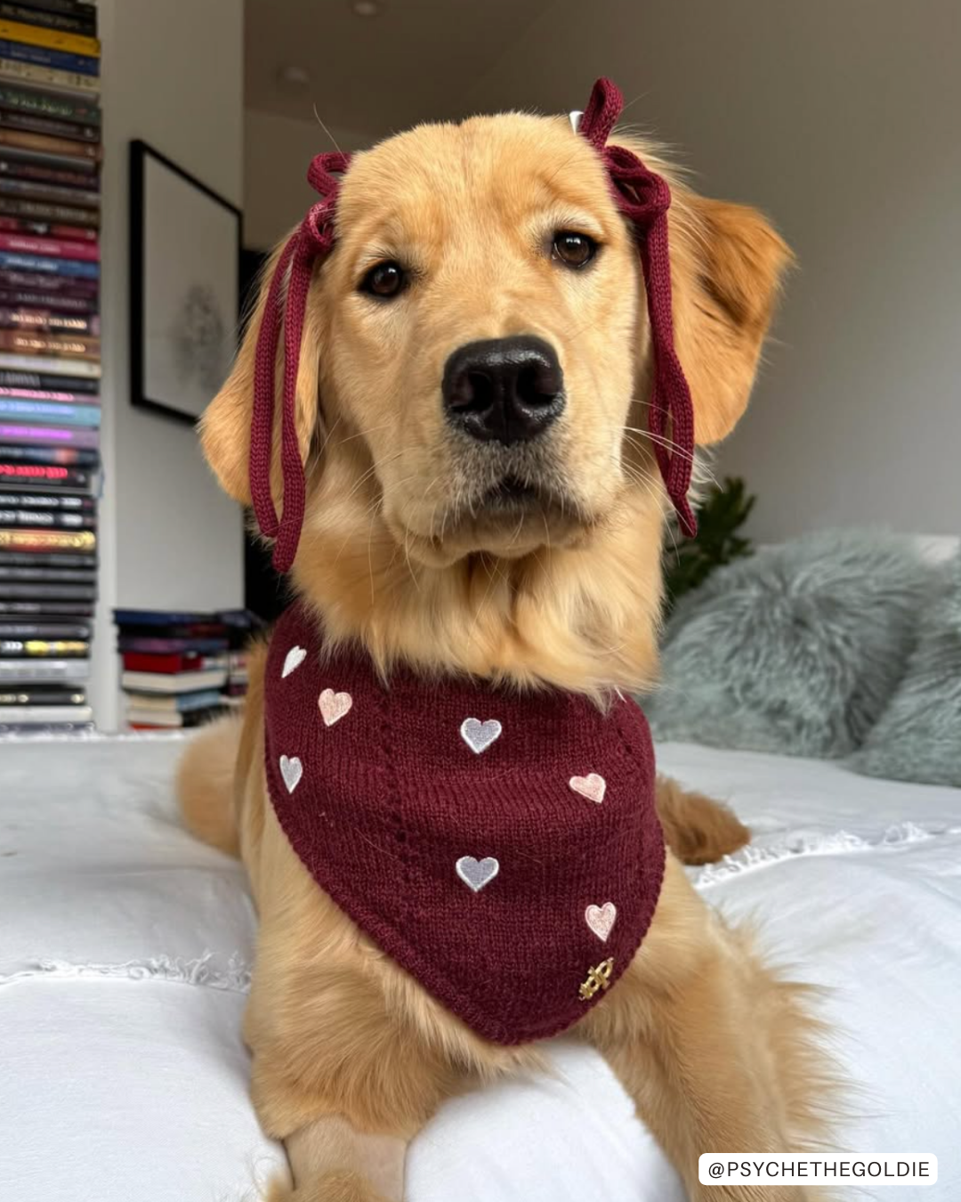 The Deluxe Pup - Wholesale Pet Bandana - Dog - BANDANA | CHÉRIE5