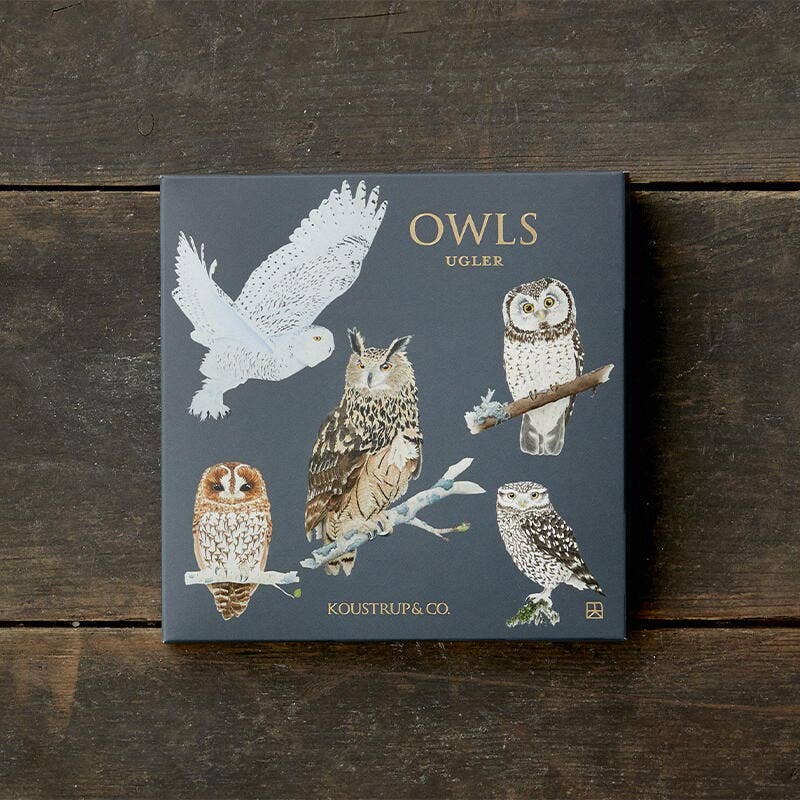 Koustrupco - Wholesale Stationery/Notecard Set - OWLS- square cards