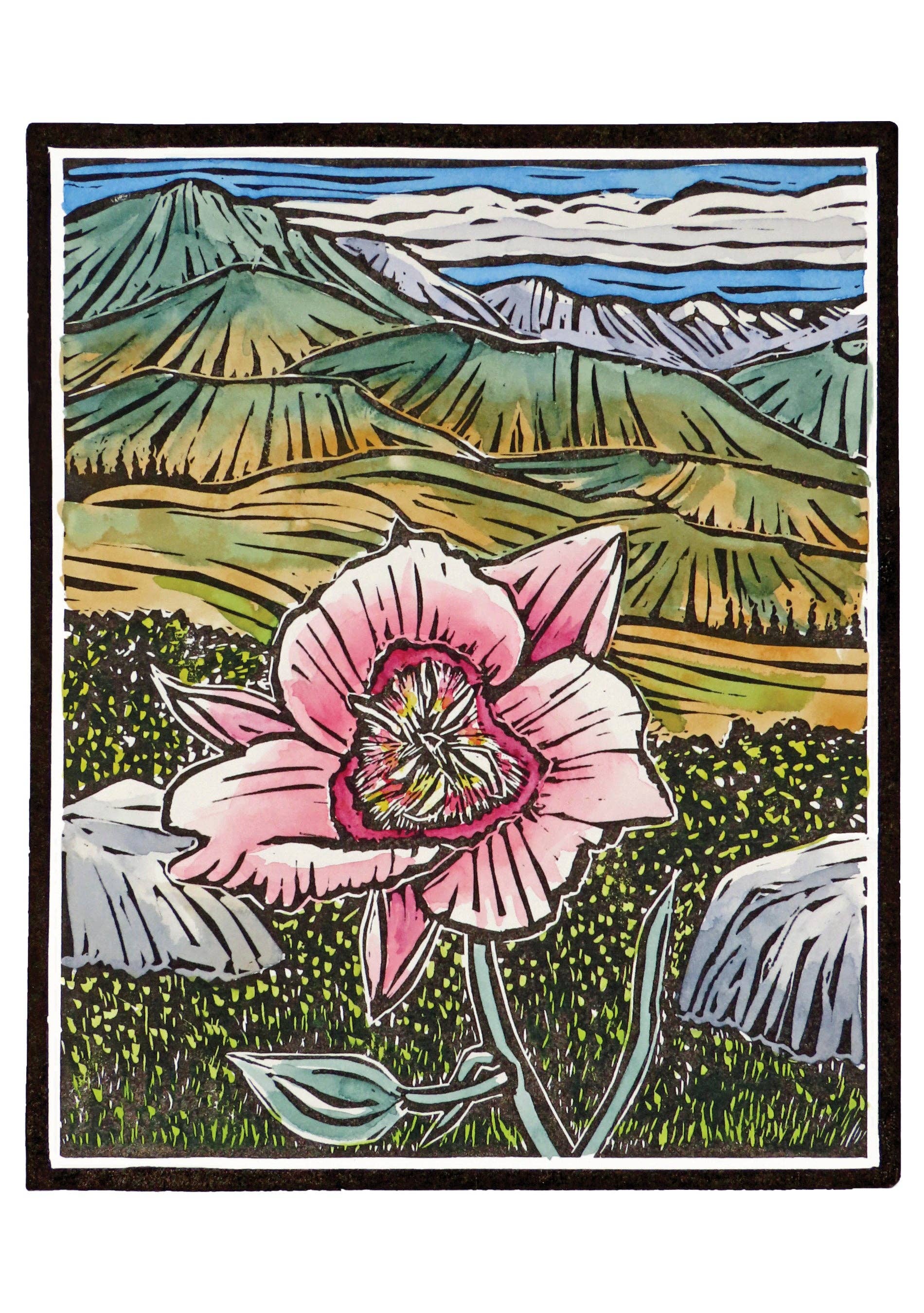 Pomegranate - Wholesale Stationery/Notecard Set - Molly Hashimoto: Wildflowers Boxed Notecard Assortment4