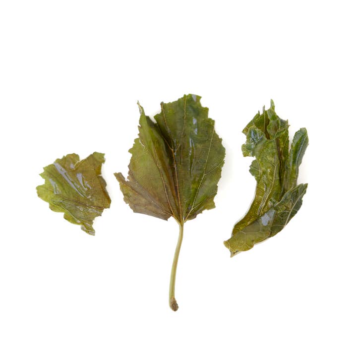 Maulbeere 40g Einzelhandelsverpackung für den Großhandel von DADOTEA