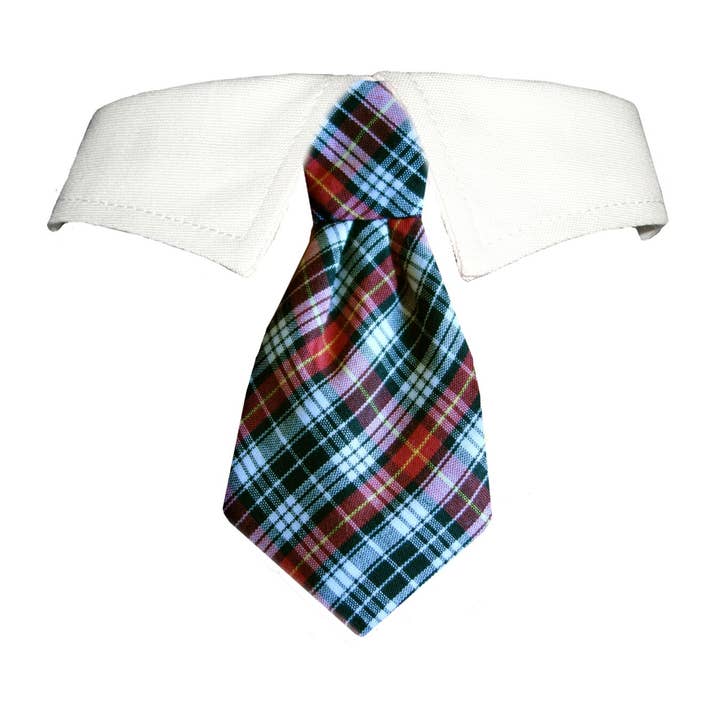 Jeff Shirt Collar for wholesale by Pooch Outfitters