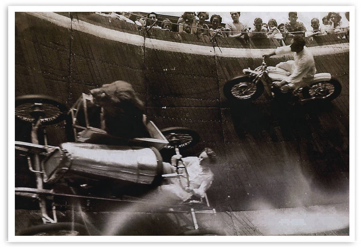 Black Market Art - Wholesale Art Print - Lion Wall of Death - Art Print0