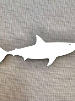 DCentral® Shark Flexible Vinyl Safety Screen Magnets for wholesale by DCentral Magnetics