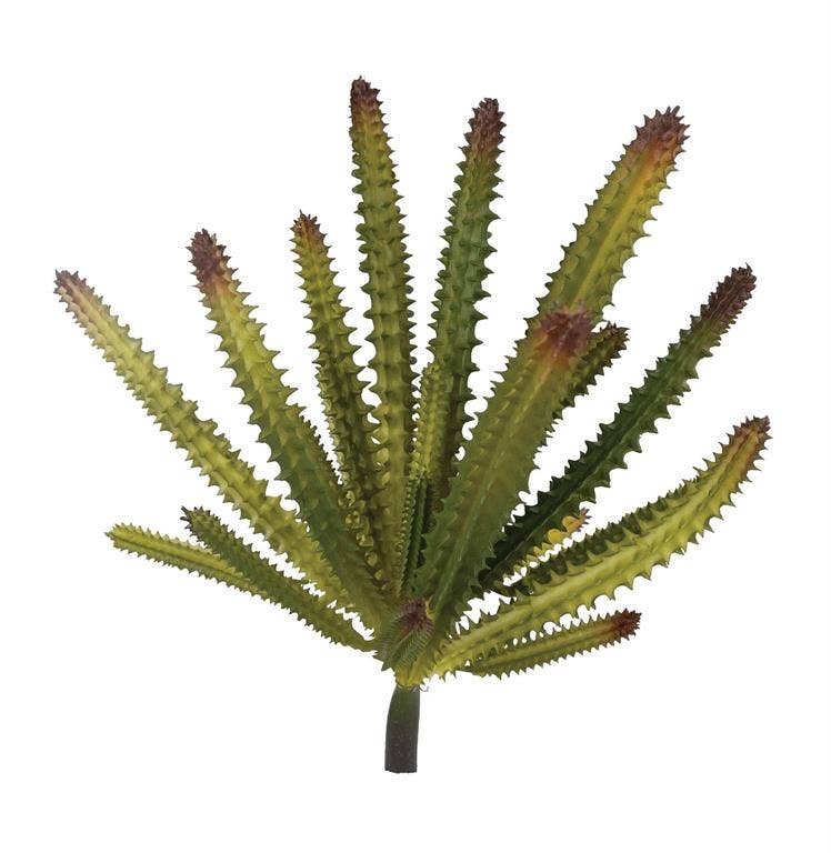 Select Artificials, Inc. - Wholesale Artificial Plant - Cactus Succulent 5.51"X8.66" Green/burgundy0
