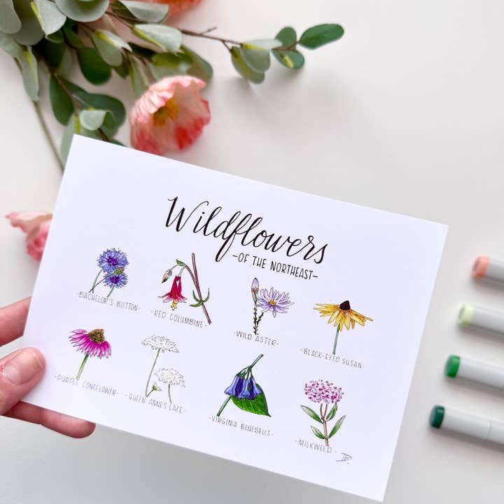 D. Prince Designs - Wholesale Art Print - Wildflowers of the Northeast | Recycled Cardstock Print5