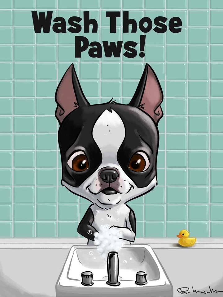 Boston Terrier, Wash Your Hands, Kunstdruck für Hunde für den Großhandel von Brian Rubenacker studios
