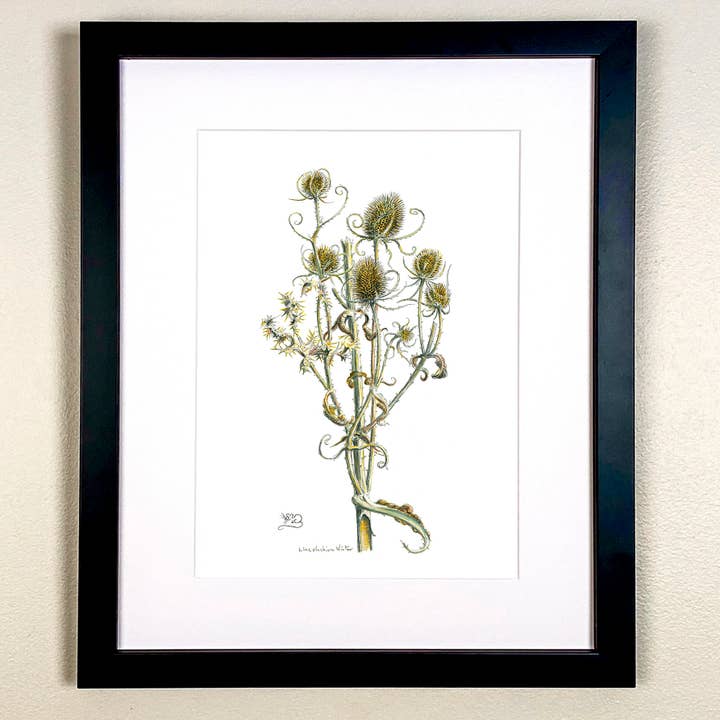 Winter Teasel Print for wholesale by Wildlife By Mouse