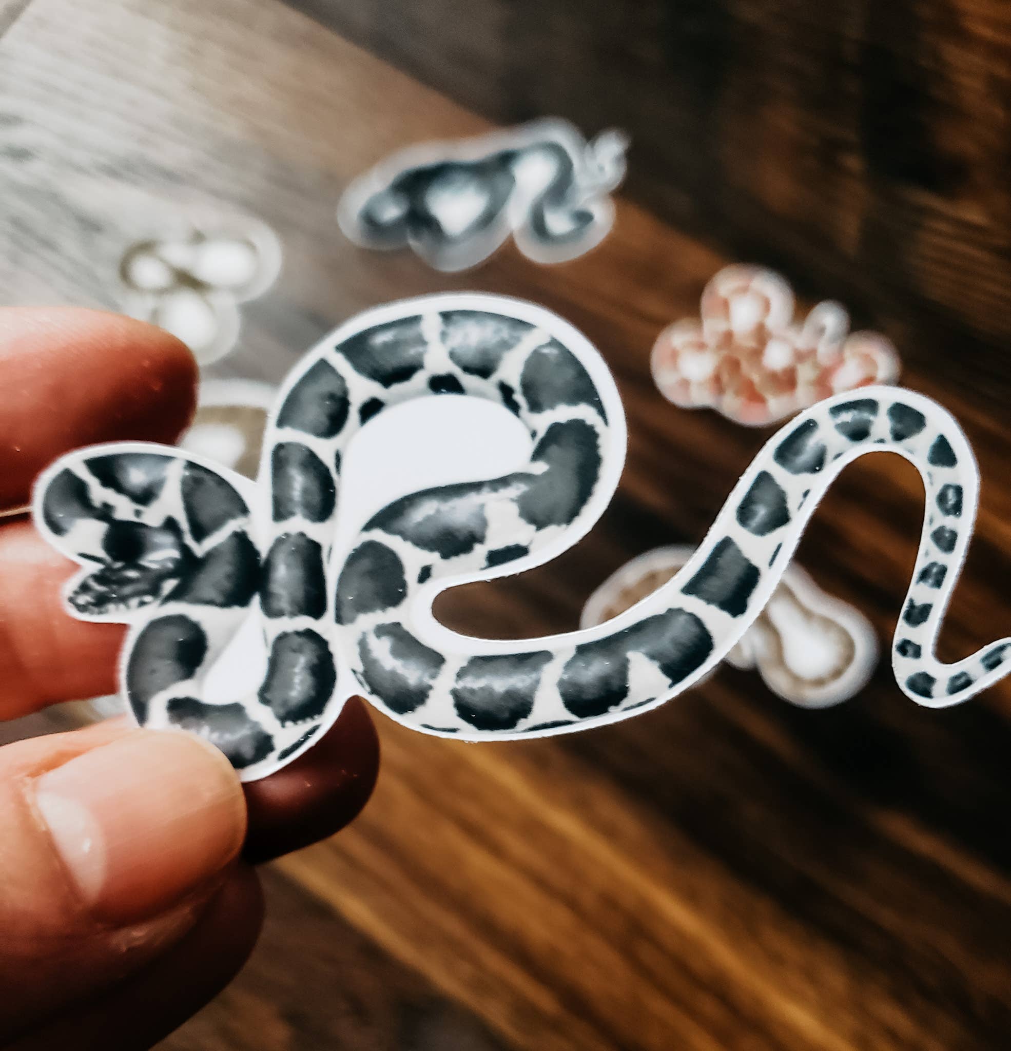 Stephanie Hathaway Designs – wholesale Sticker – Snake Sticker Pack, Set of 8 Matte Vinyl Stickers2