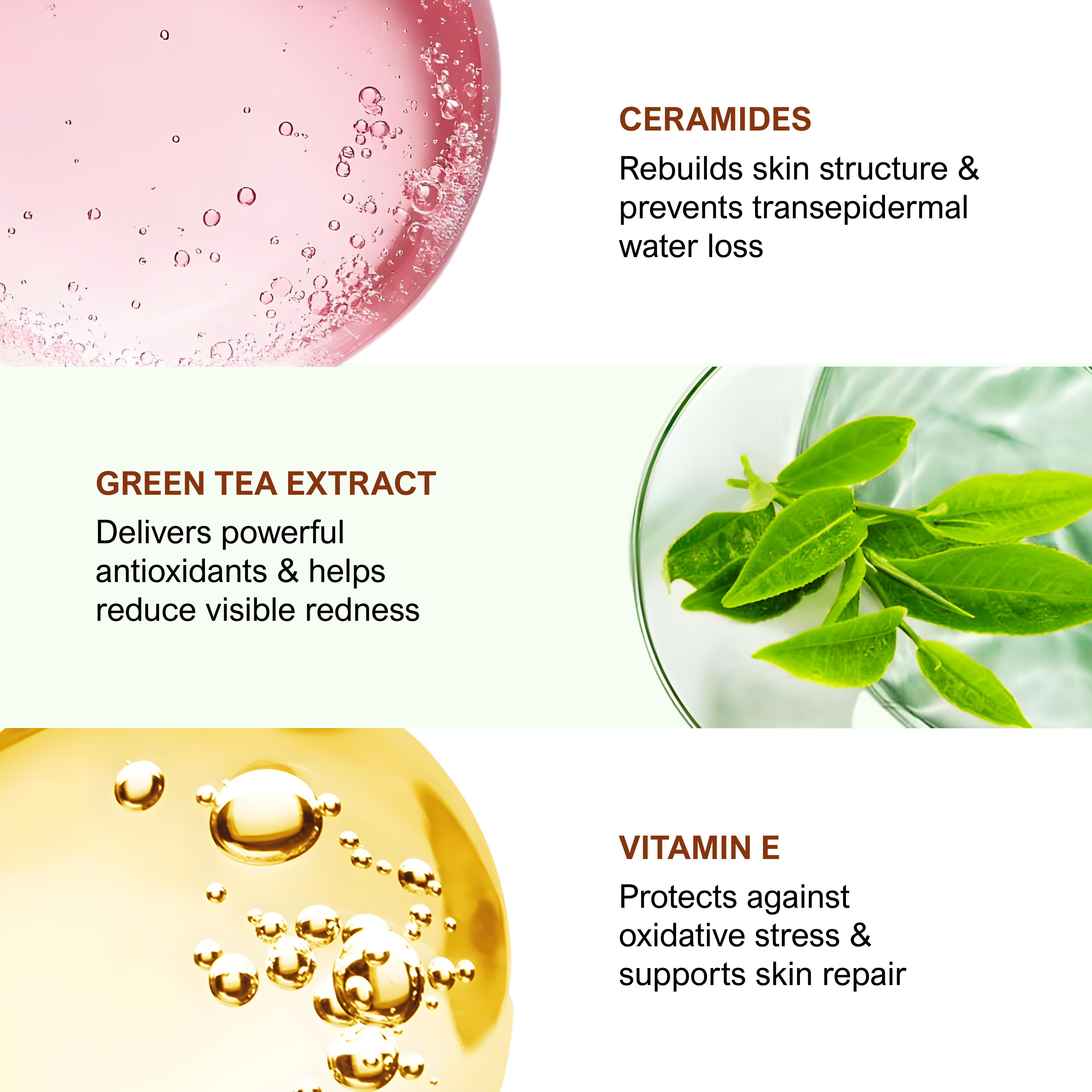 Bee Naturals - Wholesale Night Cream - Restore Barrier Night Crème with Zinc Oxide7