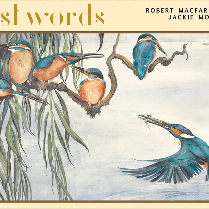 SCB – Puzzle - Adulto por atacado – as palavras perdidas 1000 peças quebra-cabeça: o martim-pescador