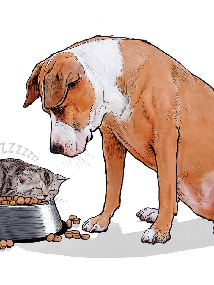 Bloqueado #200 por atacado de Shawn Braley Illustration