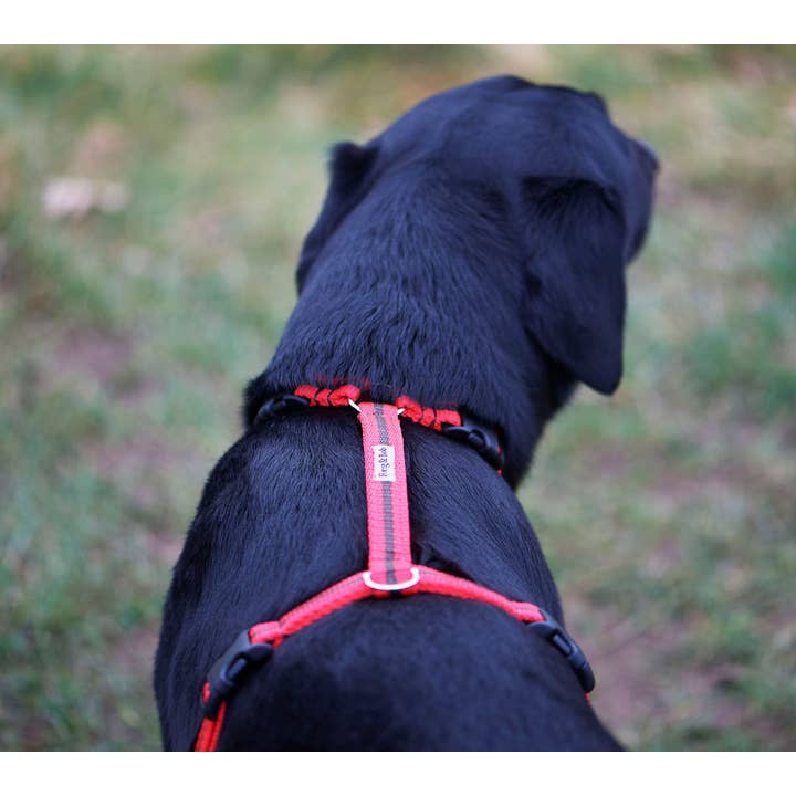 Reg&Bob - Wholesale Pet Harness - Dog - Reg&Bob Harness - M/L - Red stripe2