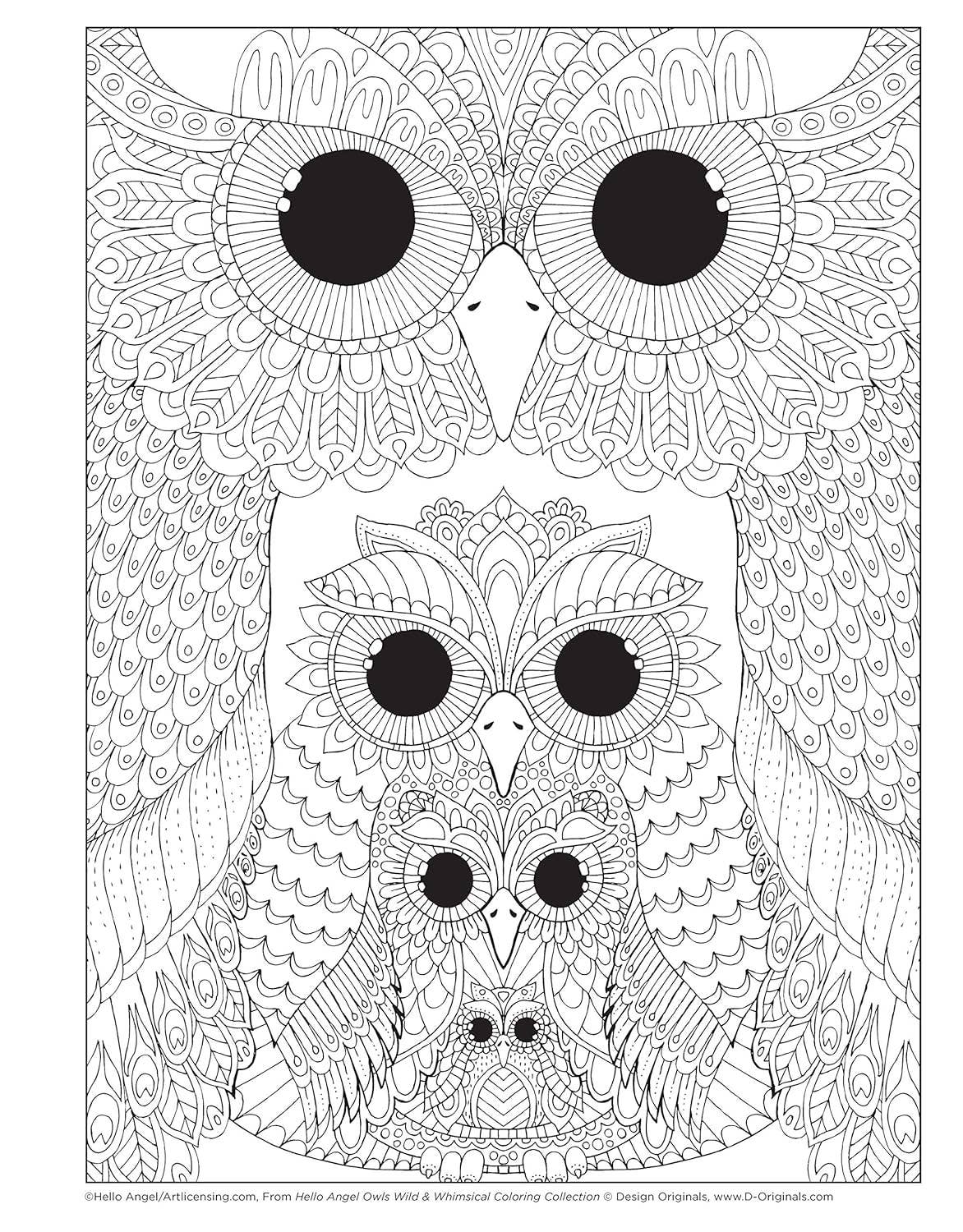 Fox Chapel Publishing - Vendita all'ingrosso Libro da colorare e attività - Adulti - Collezione da colorare Hello Angel Owls Wild & Whimsical1