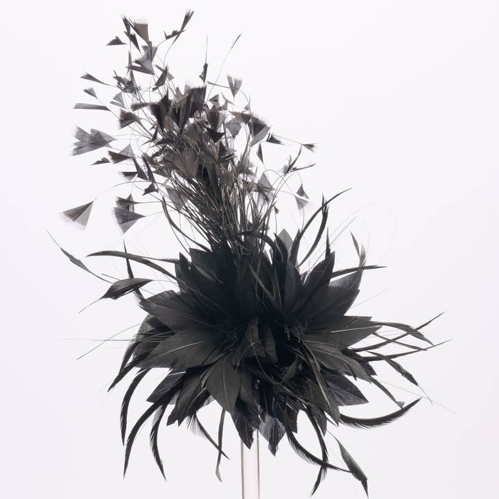 KaKyCo - Wholesale Fascinator hat – Women's - Small Base With Variety Feather On Top Fascinator | AJ780S15