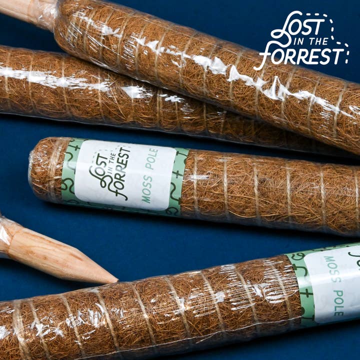 Lost in the Forrest – wholesale Garden tool – LITF Stackable Coir Pole