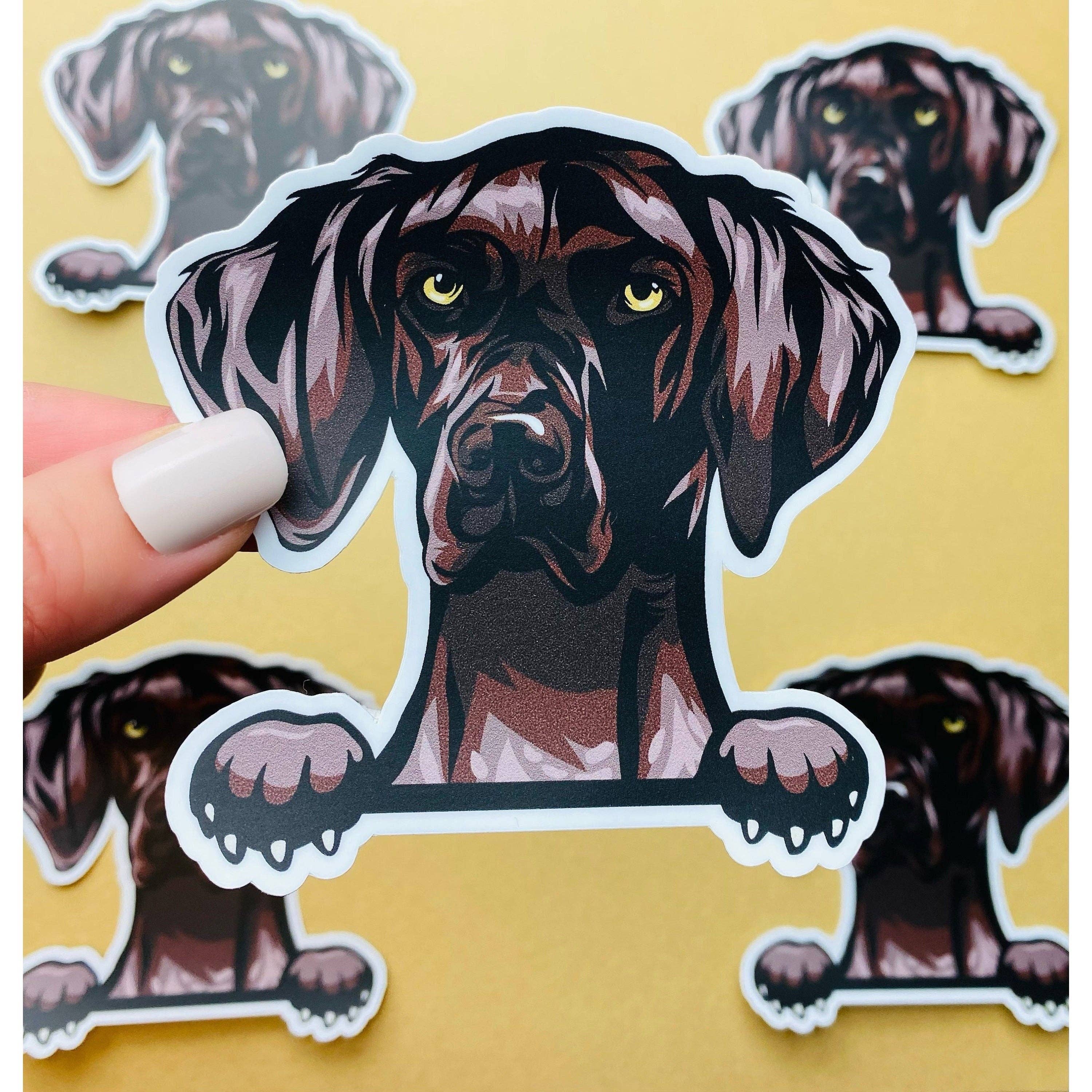 Otto's Grotto - Wholesale Sticker - German Pointer Sticker German Shorthaired Dog Sticker0