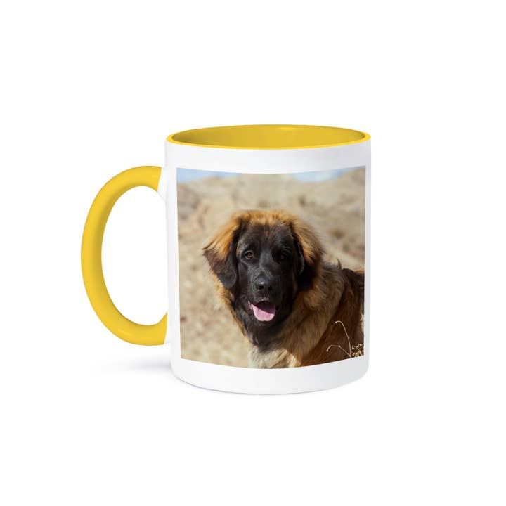3dRose - Wholesale Coffee Mug - 3dRose, Portrait of a Leonberger , Mug