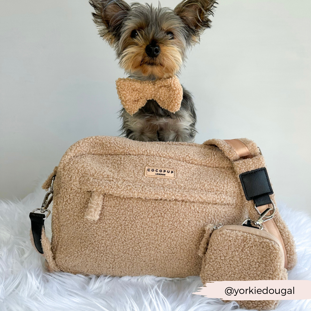 Cocopup London - Wholesale Pet Treat Bag - Dog - Large Dog Walking Bag - Teddy Rupert9