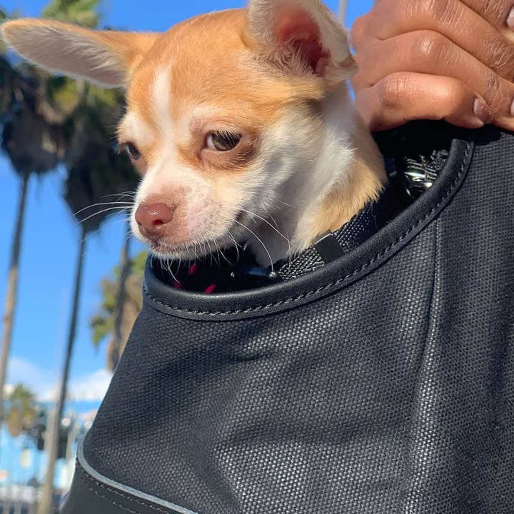 DJANGO - Wholesale Pet Carrier - Dog - Dog Carrier Bag - Black Waxed Canvas and Leather12