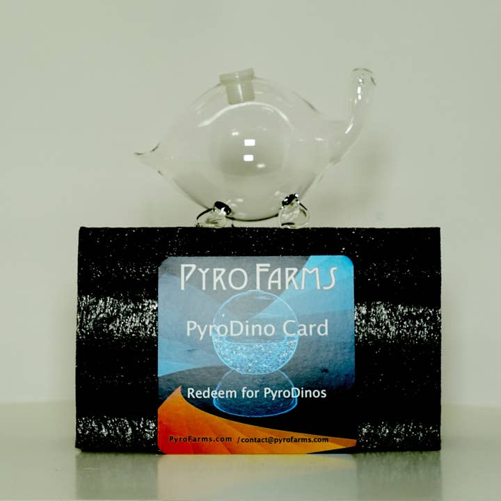 PyroFarms - Wholesale Decorative Tabletop Object - Bioluminescent Bio-Turtle - Gift Option