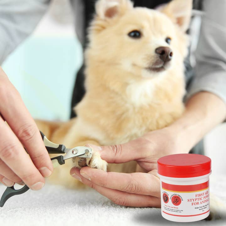 GENTS FINE GROOMING PRODUCTS - Wholesale Pet grooming aid – Dog - Pet First Aid Styptic Powder for Animals 1oz Stops bleeding6