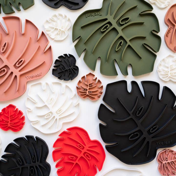 Treleaf - Wholesale Plant Pot - Tera Sausr - Monstera Leaf-shaped Pot Saucer - Humidity Tray14