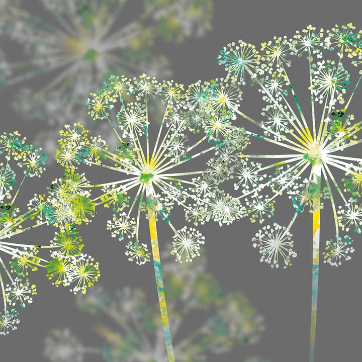 Greeting Card Apiaceae for wholesale by Natural Partners Limited