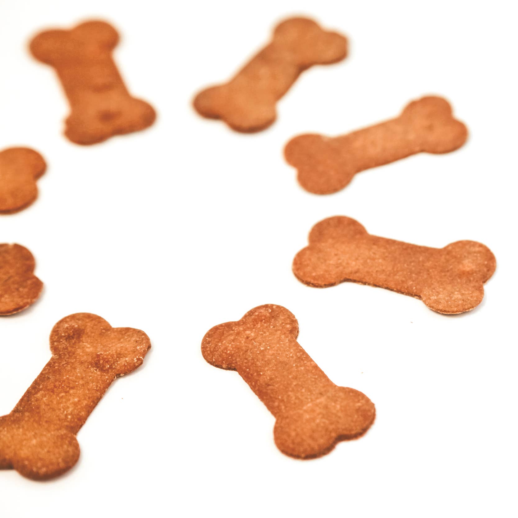 Kodee’s Krunchies - Wholesale Pet Treats - Dog - Party Bags4