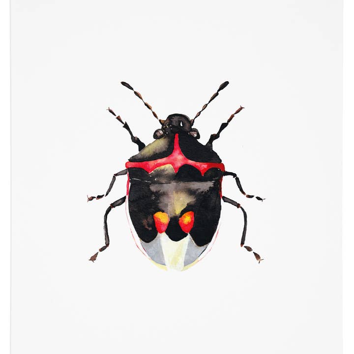 Stinker Bug Art Print för wholesale av J6R6