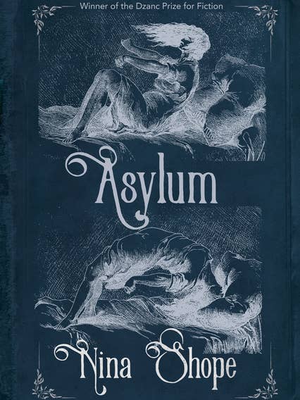 Asylum for wholesale by Bradley's Book Clearance
