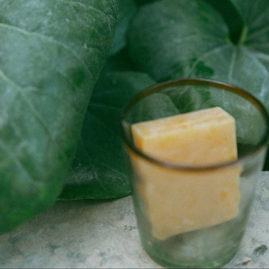 Apoterra - Wholesale Facial Cleanser - Pumpkin + Wild Carrot Complexion Soap3