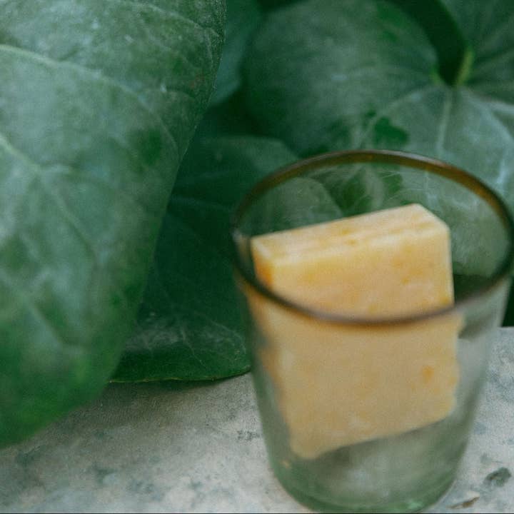 Apoterra - Wholesale Facial Cleanser - Pumpkin + Wild Carrot Complexion Soap3