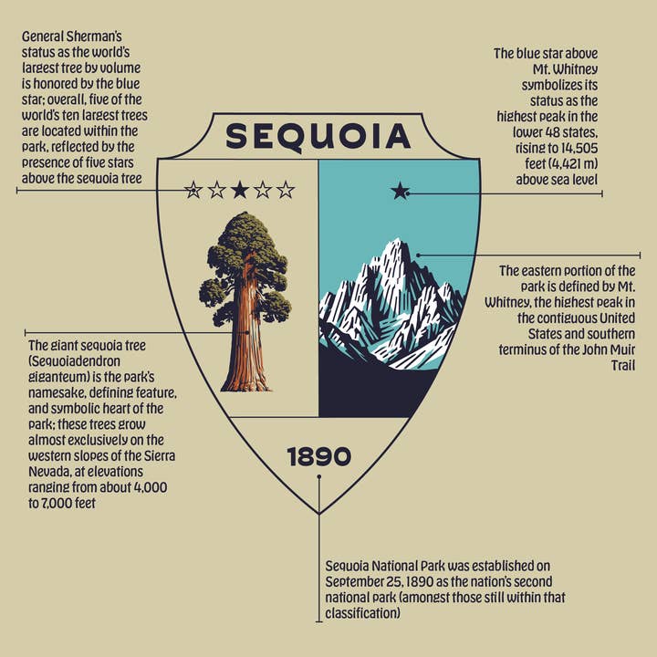 Weekend Trip Designs - Wholesale Lapel Pin/Button - Sequoia Enamel Pin2