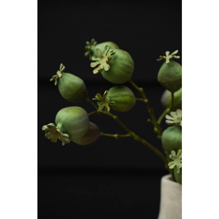Indaba Trading - Wholesale Artificial Flowers - Poppy Pod Branch4